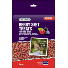 Gardman Berry Flavour Suet Treats